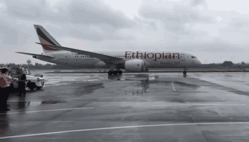 486_277gif 动态图 动图