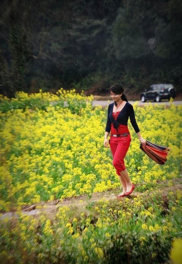 近百位美女油菜花中唯美照片