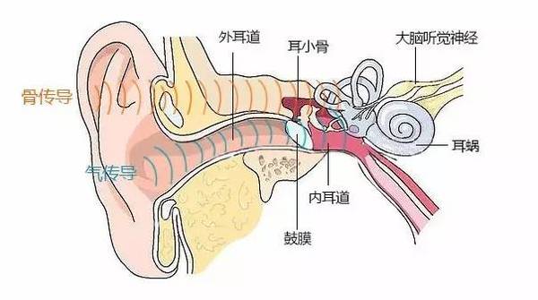 打鼾的原理是什么_打鼾是什么原因导致的