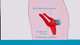【惊呆】因为妈妈便秘,这家人居然成了亿万富翁!