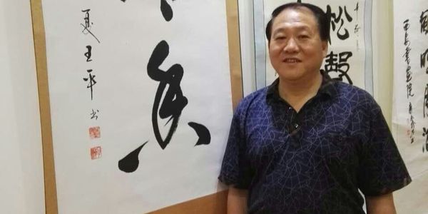 陕西著名书法家家王平(子翀)作品欣赏