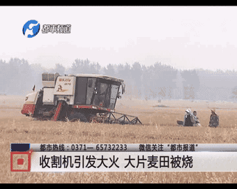 《都市报道》:收割机引发大火大片麦田被烧