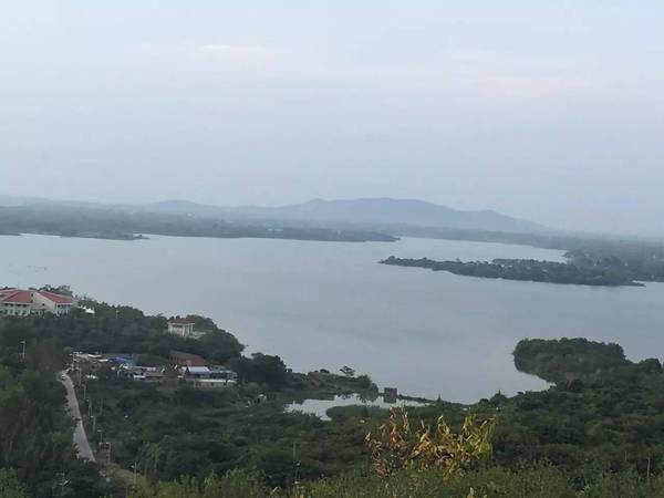 丰山人口_人口普查(3)