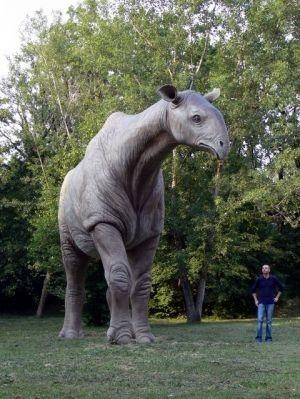 巨犀(学名:indricotherium transouralicum)为一种已经灭绝的犀牛