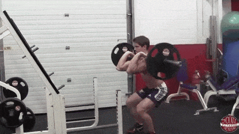 5个基本型杠铃举重动作,锻炼肌肉群,肌耐力!