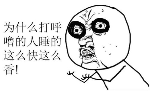 成语鼾什么雷_鼾鼻是什么动物图片(3)