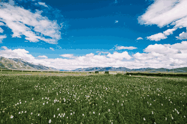 壁纸 草原 桌面 382_255 gif 动态图 动图