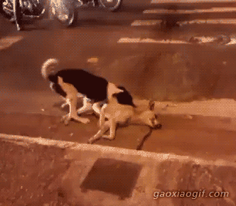 惨烈事故gif  搞笑动态图风景gif动图健身gif动图金馆长表情动态表情