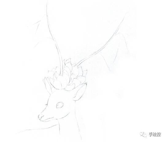 仔细描绘梅花鹿,注意耳朵与头部,脖子与身体的前后关系.