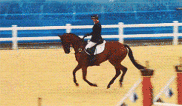 高效塑形练就挺拔气质 怪不得女人都爱上了骑马