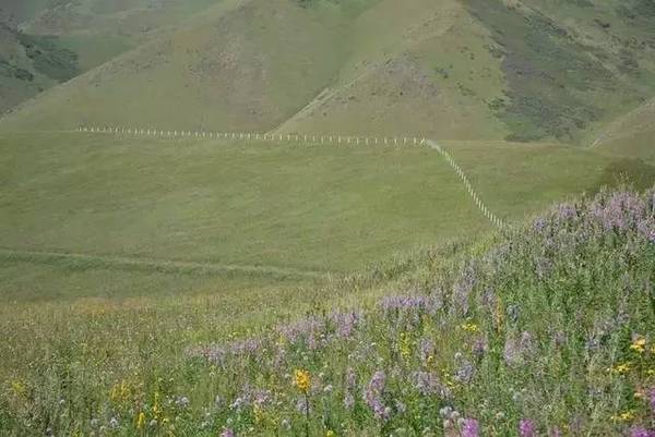 新疆边境有一个绝美秘境-【夏尔西里】!图片