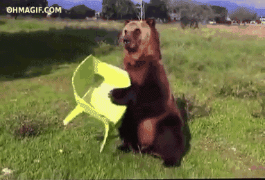 搞笑gif:傻喵,你到底梦到多少小鱼干-笑话频道-手机