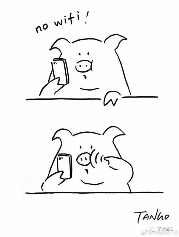 恐龙的逗猫棒