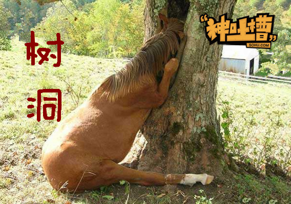 神吐槽: 他只想约个P 你却走了心