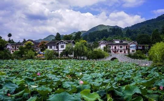 你知道吗?贵州的新农村很美,特别是六盘水