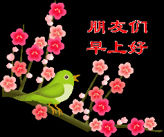 电脑上wap网:早上好,最全的早上好表情图片送给你!请查收!