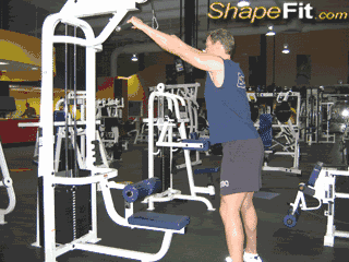 训练动作:立式直臂下压-体育频道-手机搜狐直臂下压主要刺激背阔肌上