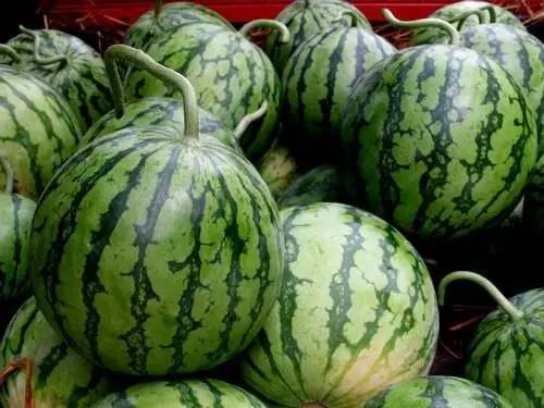 北京最好吃的西瓜都在哪？99%的人都不知道