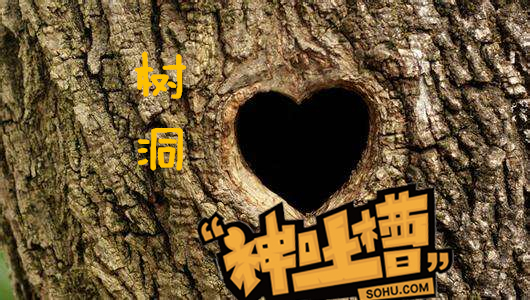 神吐槽树洞:老牛吃嫩草怎么了 现在不是流行吗