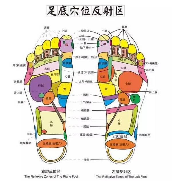 足部按摩疗法对 神经衰弱,失眠,消化道疾病,糖尿病,支气管炎,老年痴呆