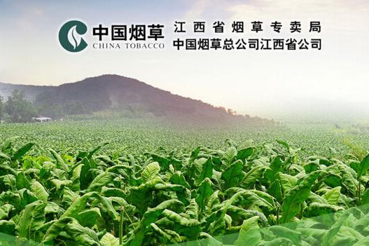 江苏烟草招聘2017_江苏烟草订货平台_江苏烟草公司招聘