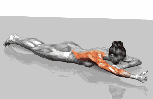 健身必须收藏的动态图--哪里动练哪里!