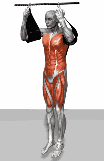 健身必须收藏的动态图--哪里动练哪里!-体育频道-手机