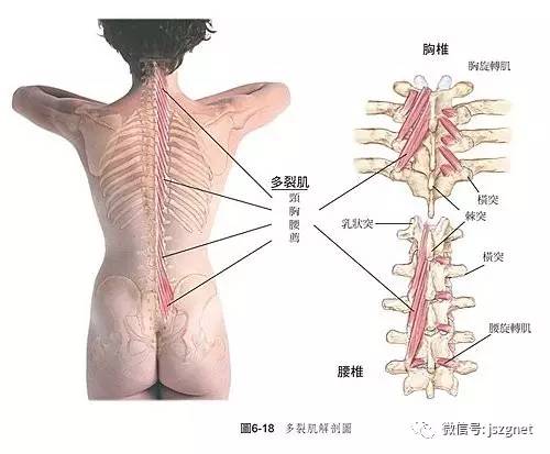 大小多少人口手_大小多少人口手上中下日月水火山石田土木禾米竹刀弓车舟