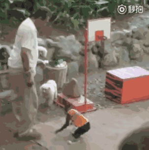 猴哥原地干拔双手暴扣!然后还