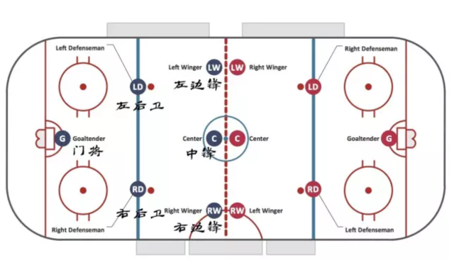 ho酱陪你看冰球丨如何看懂一场nhl比赛?