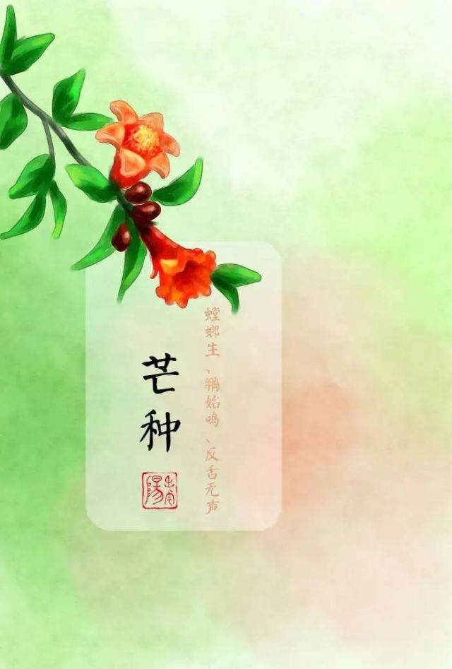 a8qctk0122472777241.jpg