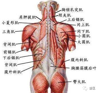 赵丽颖内衣外穿,胸小没关系,这背碾压冰冰幂岁妇30情趣骚图片
