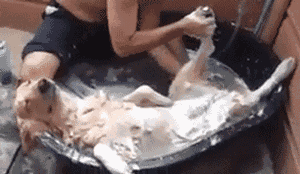 创新    设计    技术 新设技微信号:new4life