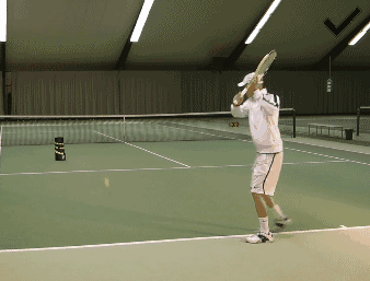 网球 338_257 gif 动态图 动图