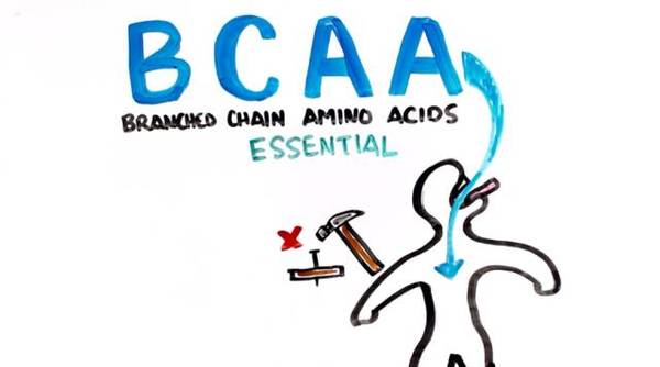 bcaa是什么？到底有没有那么神奇？