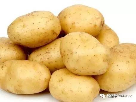 马铃薯是一种广受大众喜爱的食物,近年来马铃薯自身新的营养成分被不