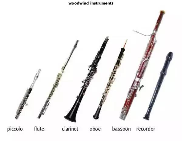木管组乐器种类较多,音色突出,所以需要分门别类将其排列在弦乐组之后