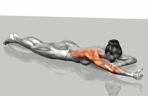 全套3d动态健身动作,简单易学,适合健身初学者,请收藏