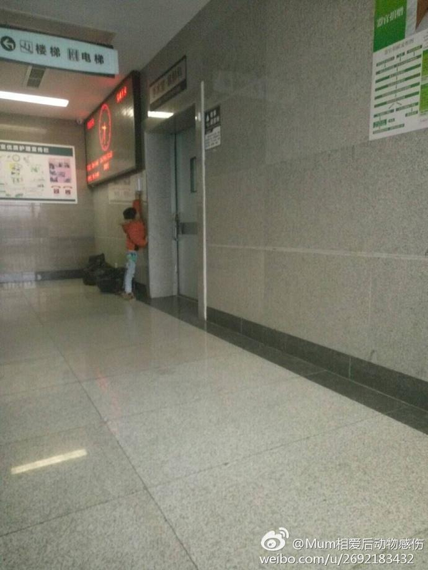只有这个小孩一个人在外面等着他妈妈,不够高,踮着脚去按手术室外面的
