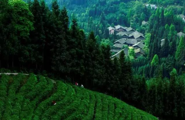 洪雅复兴村,这里的山,水,空气,使你留恋忘返!