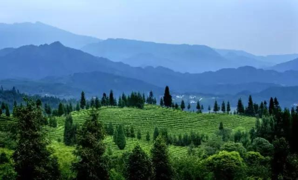 洪雅复兴村,这里的山,水,空气,使你留恋忘返!