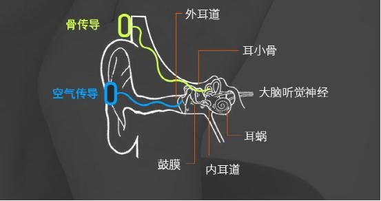 而骨传导耳机的传输原理则是把音乐转换成震动信号,当我们戴上耳机