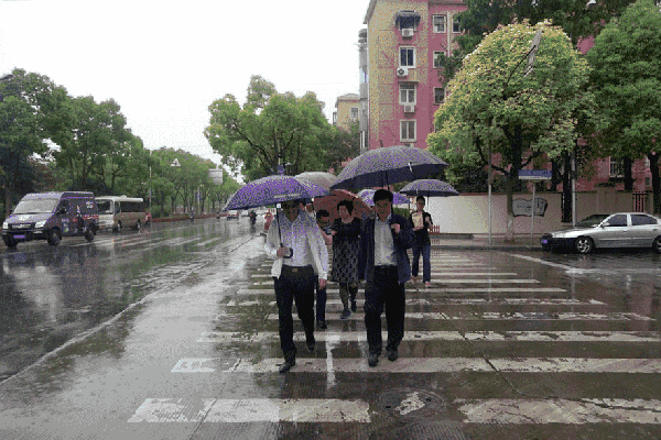 即使是下雨天小区道路同样干净,尤其是于勇点名要察看的景观河,同样
