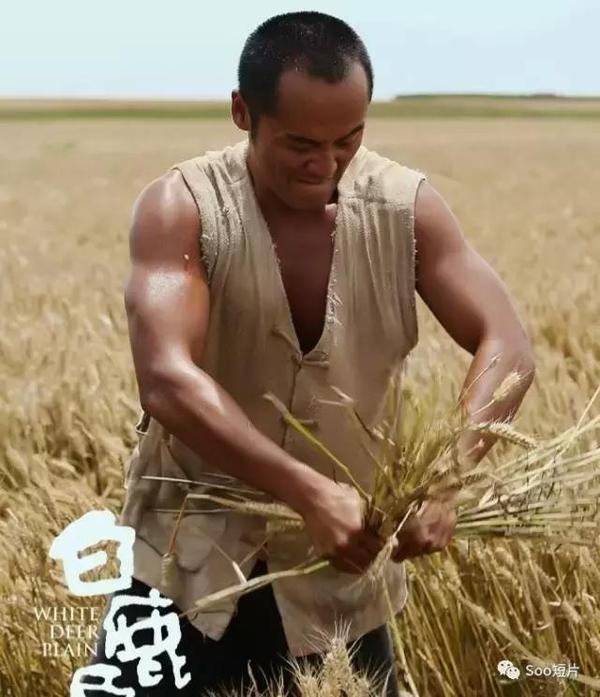 姬他!张嘉译表弟《白鹿原》黑娃引起了我们注意