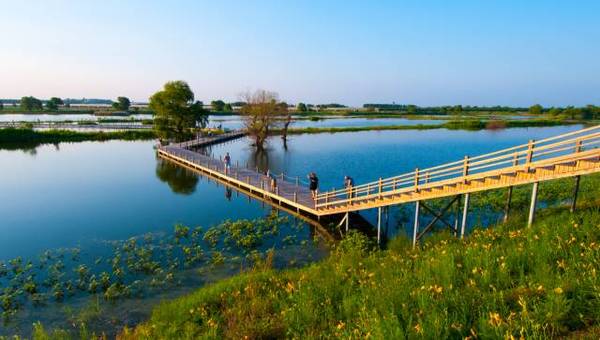 在沈北新区穿境而过,依河而建的辽河七星湿地公园,被称为沈阳城市的绿