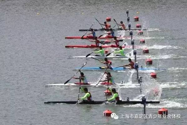 【诗句】又赢了!皮划艇!斗鸡描写的动态图片