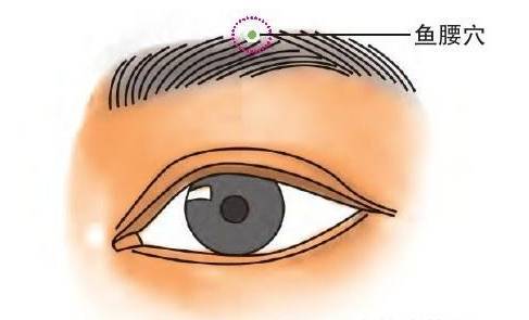 睛明穴在面部,目内眦角上方 0.1 寸处.