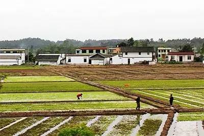 山西省永和县雨林村人口多少_热带雨林