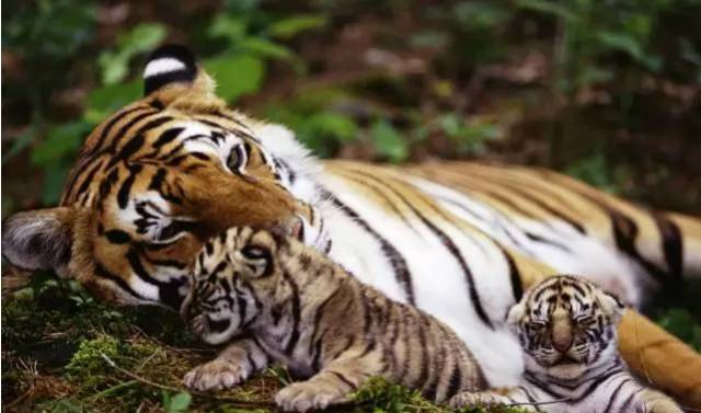 刘洁的去世,再次提醒我们:远离垃圾人!-体育频