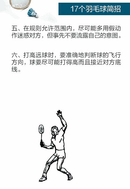 17个羽毛球简招,让羽球菜鸟飞-体育频道-手机搜狐菜鸟